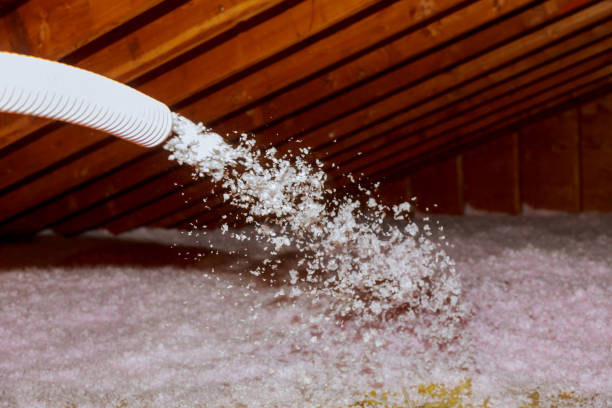 Best Cellulose Insulation in Wlow Springs, IL