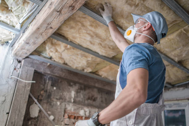 Best Eco-Friendly Insulation in Wlow Springs, IL