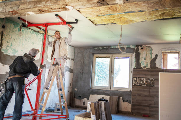 Reliable Willow Springs, IL Insulation Contractor Solutions