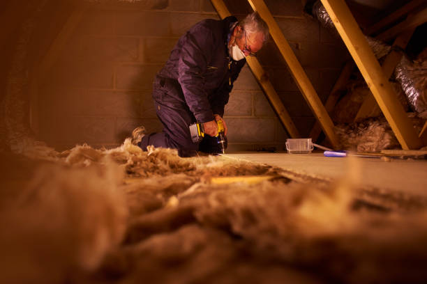 Types of Insulation We Offer in Willow Springs, IL
